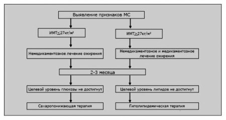 Рекомендации ВНОК: лечение метаболического синдрома 